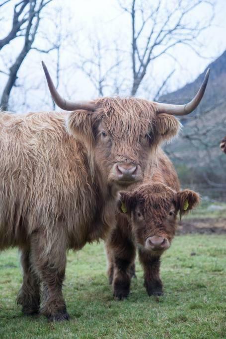 Inverlael Farm Cottages エクステリア 写真